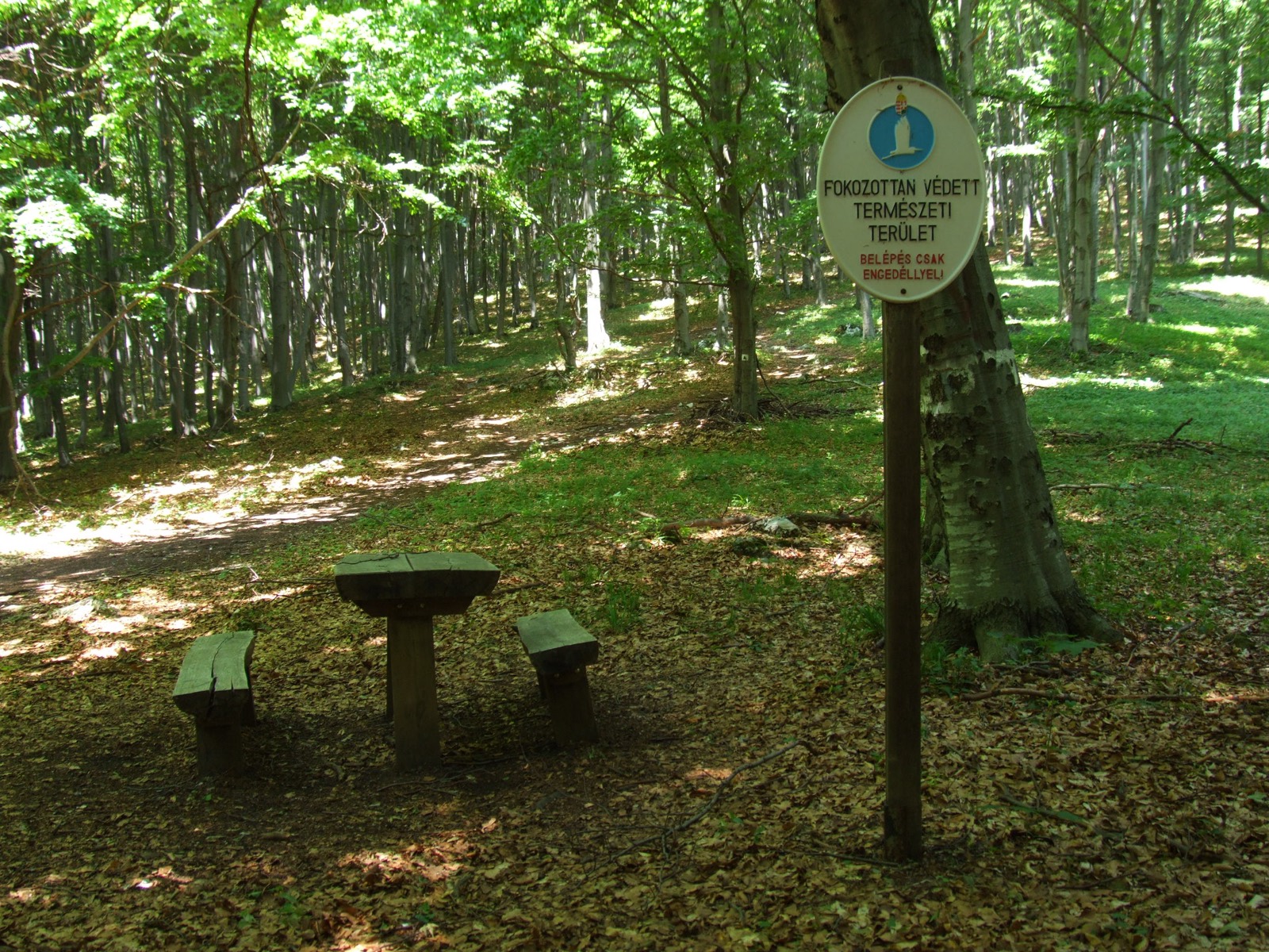 Bükki Nemzeti Park