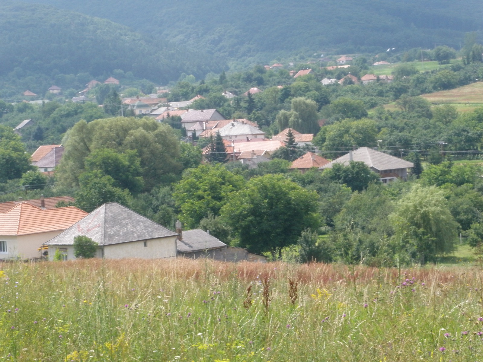 Mályinka